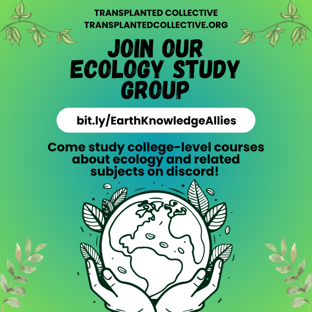 Image Description: Square graphic with a gradient green background and leaf illustrations in the four corners. Text from top down reads, Transplanted Collective, transplantedcollective.org, JOIN OUR ECOLOGY STUDY GROUP, bit.ly/EarthKnowledgeAllies, Come study college-level courses about ecology and related subjects on discord! Below all of the text, is a black and white illustration of the Earth being held by two open hands with leaves around the Earth.